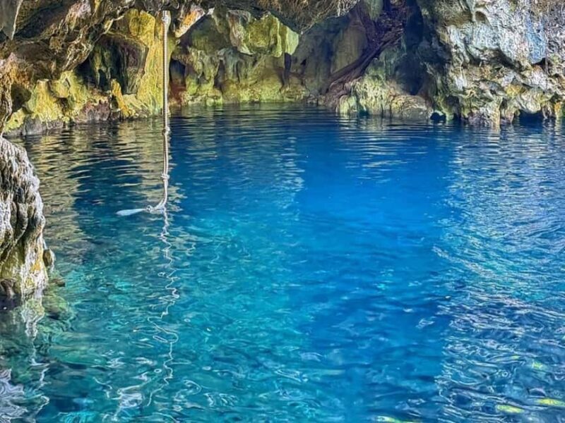 Zanzibar: Jozani forest, Butterfly center & Maalum cave tour - A Closer Look at the Tour Experience  