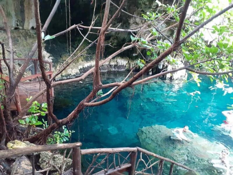 Zanzibar: Jozani forest, Butterfly center & Maalum cave tour - FAQs  