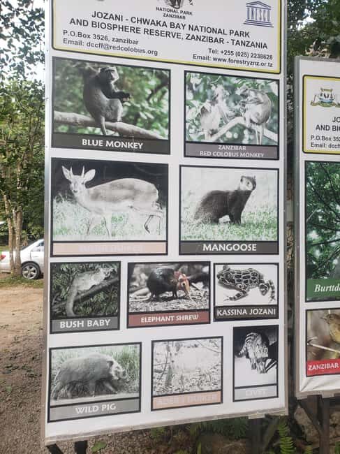 Zanzibar: Jozani forest, Butterfly center & Salaam cave tour - Key Points