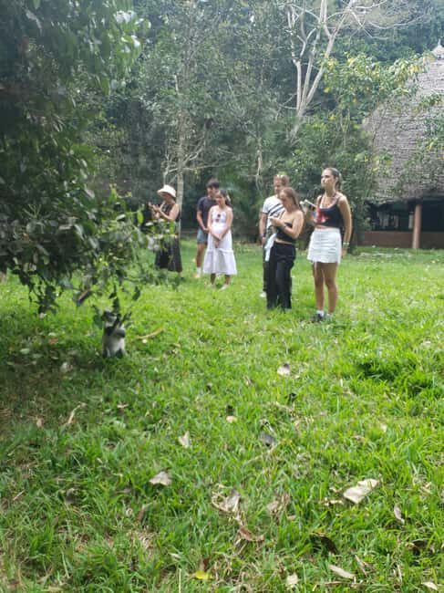 Zanzibar: Jozani forest, Butterfly center & Salaam cave tour - Exploring the Heart of Zanzibar’s Nature