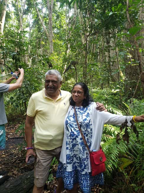 Zanzibar: Jozani forest, Butterfly center & Salaam cave tour - The Butterfly Garden: A Kaleidoscope of Color