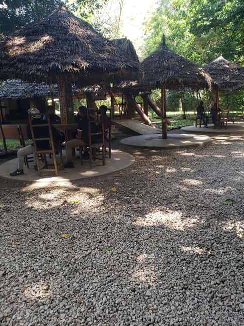 Zanzibar: Jozani forest, Butterfly center & Salaam cave tour - Authentic Insights From Travelers