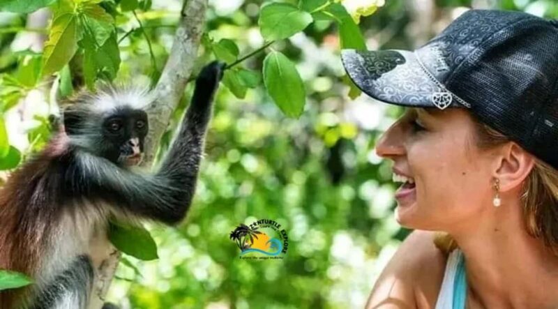 Zanzibar: Jozani Forest Conservation Guided Tour - Final Thoughts