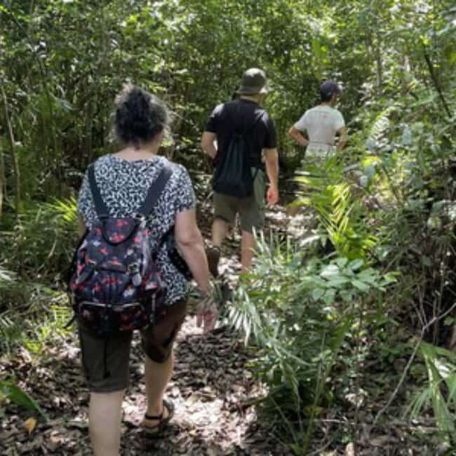 ZANZIBAR: Jozani Forest guided tour & Butterfly Sanctuary - Key Points  
