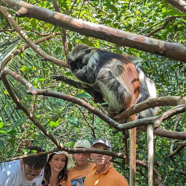 ZANZIBAR: Jozani Forest guided tour & Butterfly Sanctuary - FAQ  