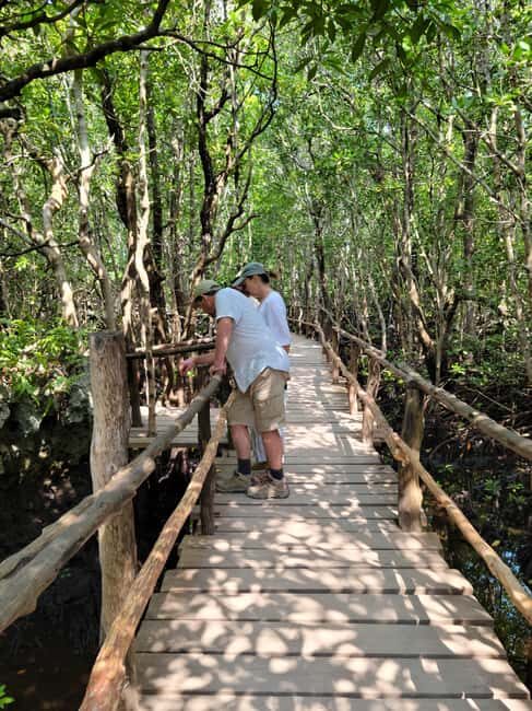 Zanzibar: Jozani Forest Guided Tour with Hotel Transfer - FAQ: Your Questions About the Jozani Forest Tour