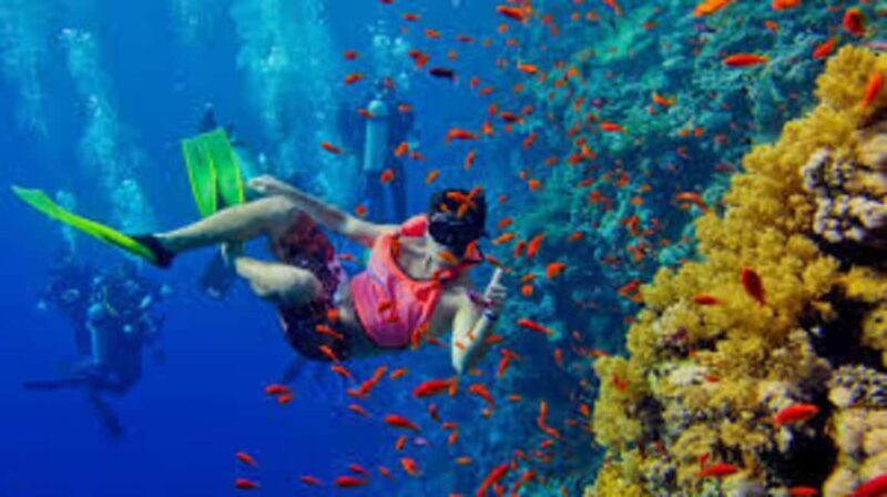 Zanzibar: Jozani Forest, Kuza Cave, Blue Lagoon & Dinner - Key Points