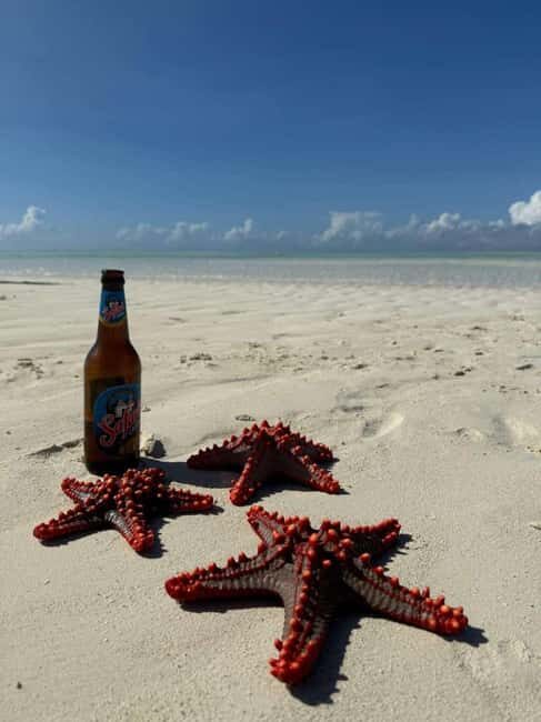 Zanzibar: Jozani Forest, Kuza Cave, & Blue Lagoon + Starfish - Practical Details and What to Expect