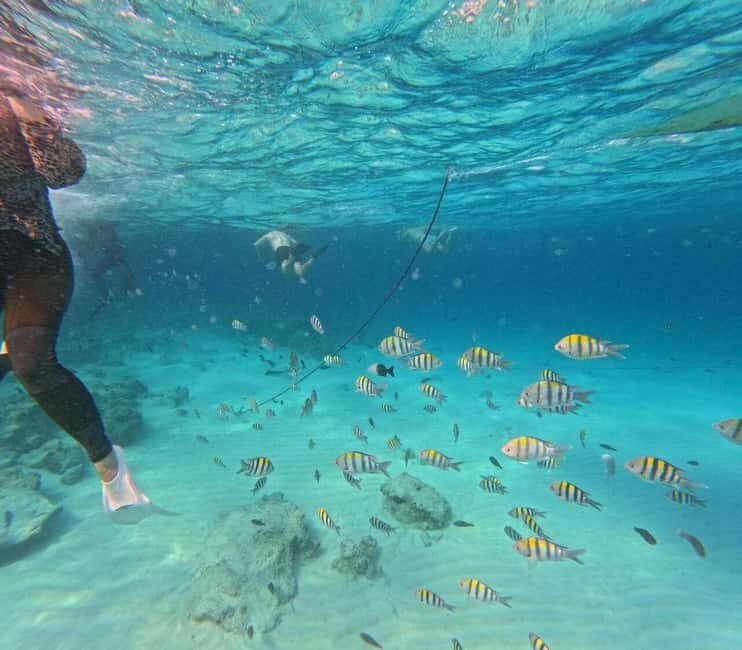 Zanzibar: Jozani Forest, Kuza Cave, & Blue Lagoon + Starfish - Why This Tour Works for Different Travelers