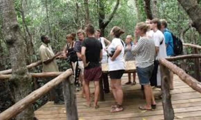 Zanzibar: Jozani Forest & Mangroves Bay Day Trip with Lunch - Practical Details That Matter
