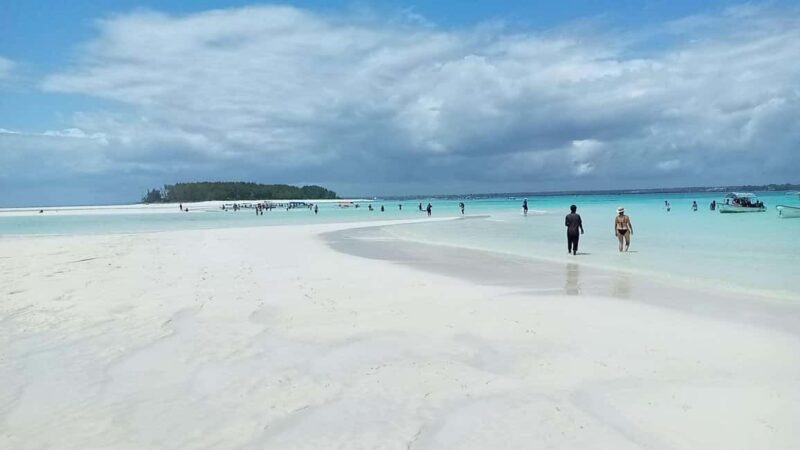 ZANZIBAR: Jozani Forest & Mnemba Dolphin Snorkeling with BBQ - A Day in Zanzibar: What to Expect