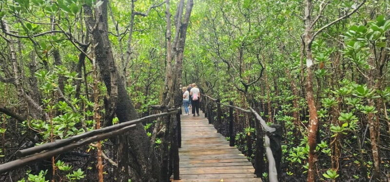 Zanzibar: Jozani Forest National Park Guided Tour - Exploring Zanzibar’s only national park