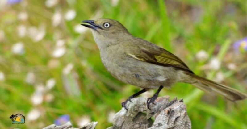Zanzibar: Jozani Forest National Park Guided Tour - Zanzibar: Jozani Forest National Park Guided Tour Review