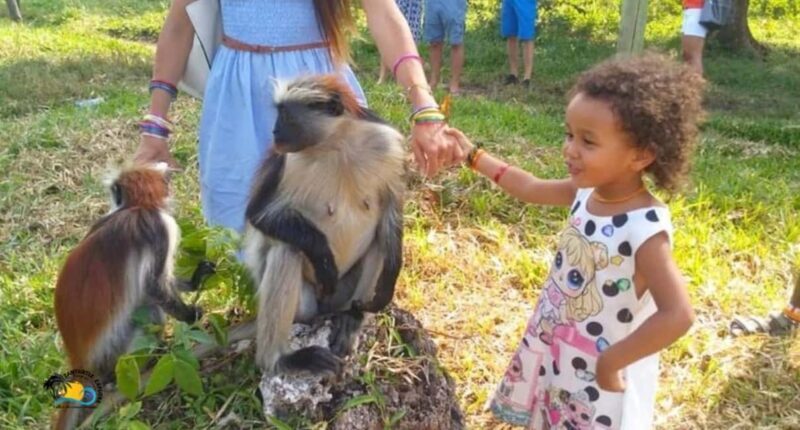 Zanzibar: Jozani Forest National Park Guided Tour - FAQs