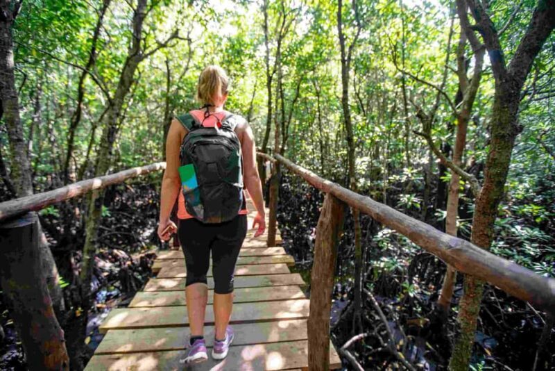 Zanzibar: Jozani Forest, Nature Walk and Wildlife Tour - Who Will Love This Tour?