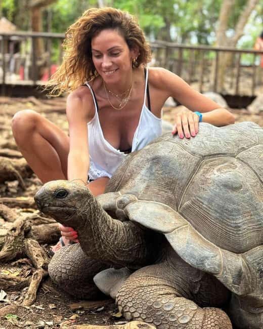 Zanzibar: Jozani Forest, Prison Island & Stone Town Half-day - Key Points