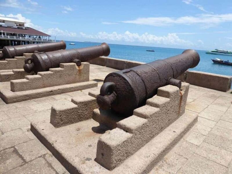 Zanzibar: Jozani Forest, Prison Island & Stone Town Half-day - What’s the Experience Like?