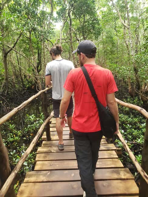 Zanzibar: Jozani Forest, Reptile Park, and Mtende Beach Tour - Exploring Jozani Forest: The Heart of Zanzibar’s Wildlife  