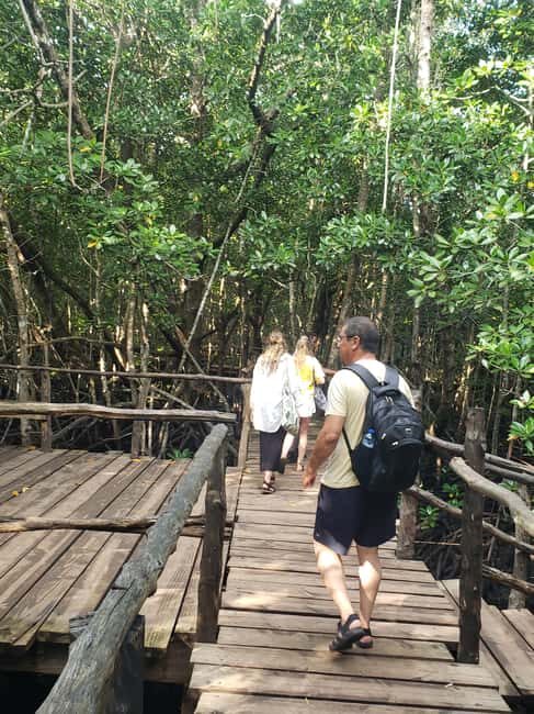Zanzibar: Jozani Forest, Reptile Park, and Mtende Beach Tour - Practical Tips for Your Day  