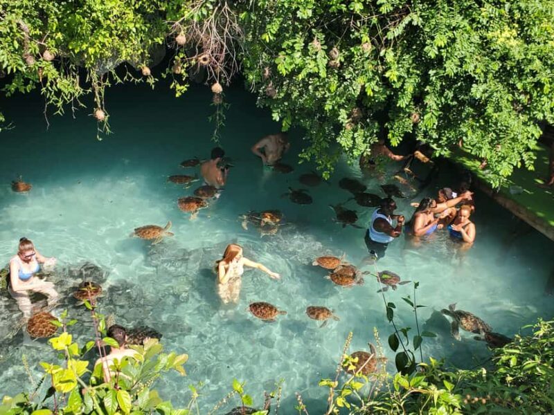 Zanzibar: Jozani forest, Salaam cave & Mtende beach tour - Final Thoughts