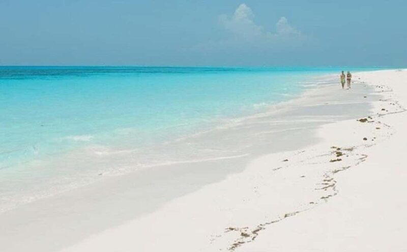 Zanzibar: Jozani Forest, Salaam Cave, & Mtende Beach Tour - An In-Depth Look at the Tour