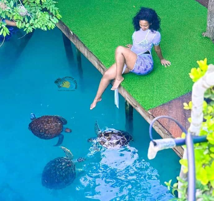 Zanzibar: Jozani Forest & Salaam Cave Sea Turtles Swim Tour - Key Points