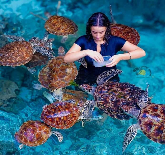 Zanzibar: Jozani Forest & Salaam Cave Sea Turtles Swim Tour - A Deep Dive into the Experience
