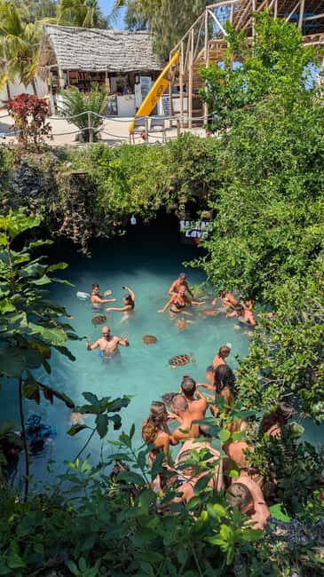 Zanzibar: Jozani Forest, Salaam Cave & The Rock Restaurant - The Verdict: Who Will Love This Tour?