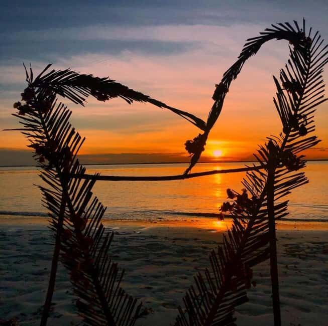 Zanzibar: Jozani Forest, Salaam & Maalum Caves and Sunset - Key Points