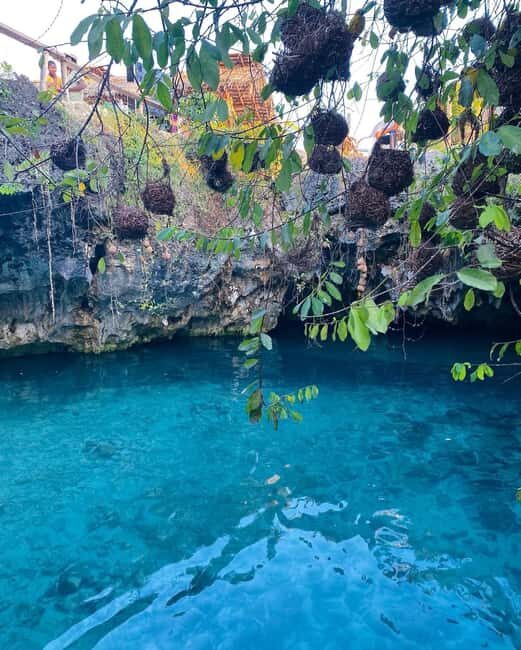 Zanzibar: Jozani Forest, Salaam & Maalum Caves and Sunset - Who Would Love This Tour?