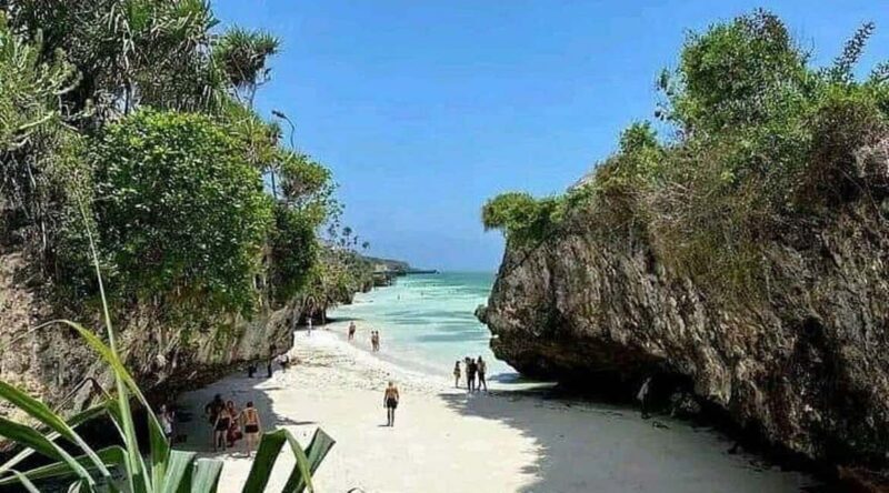 Zanzibar: Jozani Forest, Sea sanctuary tortle & Mtende Beach - A Complete Breakdown of the Tour