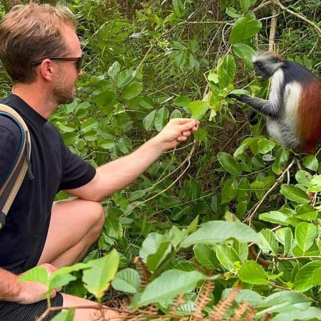 Zanzibar: Jozani Forest & Sea Tortoises Sanctuary Tour - What We Love About This Tour