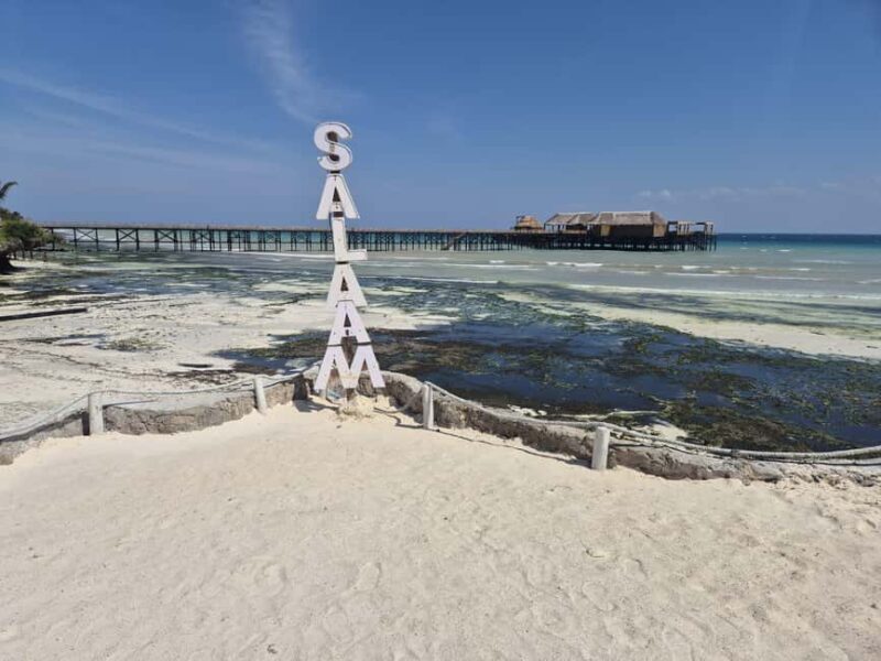 Zanzibar: Jozani Forest & Sea Tortoises Sanctuary Tour - Discovering the Heart of Zanzibars Wild Side