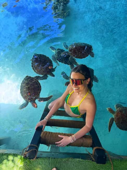 Zanzibar: Jozani Forest & Sea Tortoises Sanctuary Tour - The Sum Up