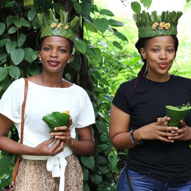Zanzibar: Jozani Forest, Sea Turtles, and Spice Farm Tour - Key Points