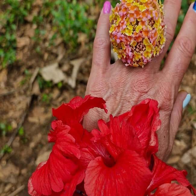 Zanzibar: Jozani Forest, Sea Turtles, and Spice Farm Tour - The Sum Up