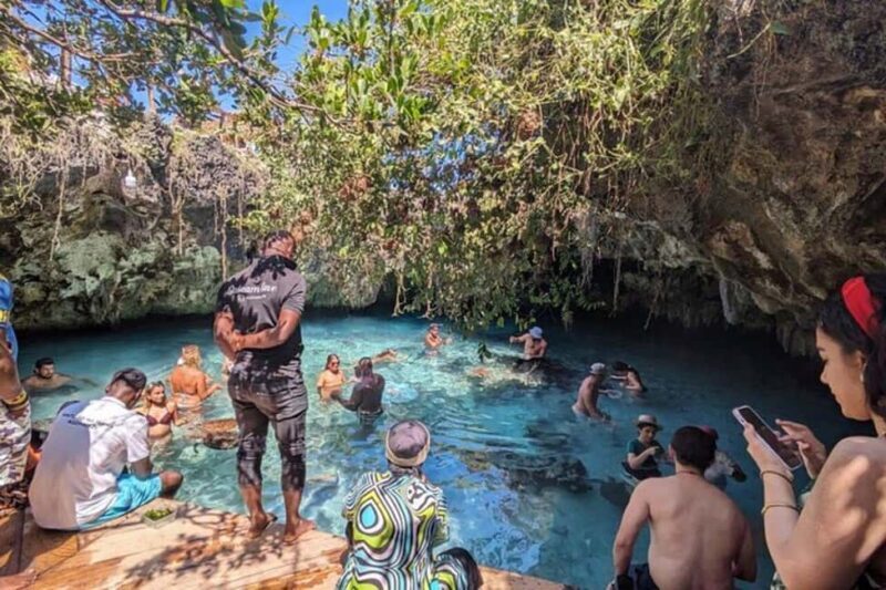 Zanzibar: Jozani Forest, Sea Turtles, & The Rock Restaurant - Practical Details and Tips