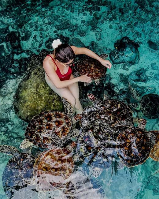 Zanzibar: Jozani Forest, Sea Turtles, & The Rock Restaurant - FAQ