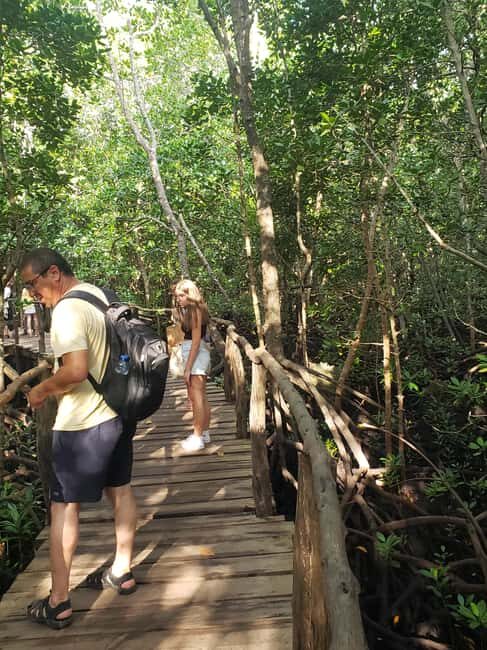 Zanzibar: Jozani forest, Spice farm and Salaam cave day trip - Key Points
