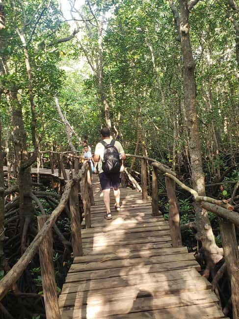 Zanzibar: Jozani forest, Spice farm and Salaam cave day trip - Practical Details: What You Need to Know