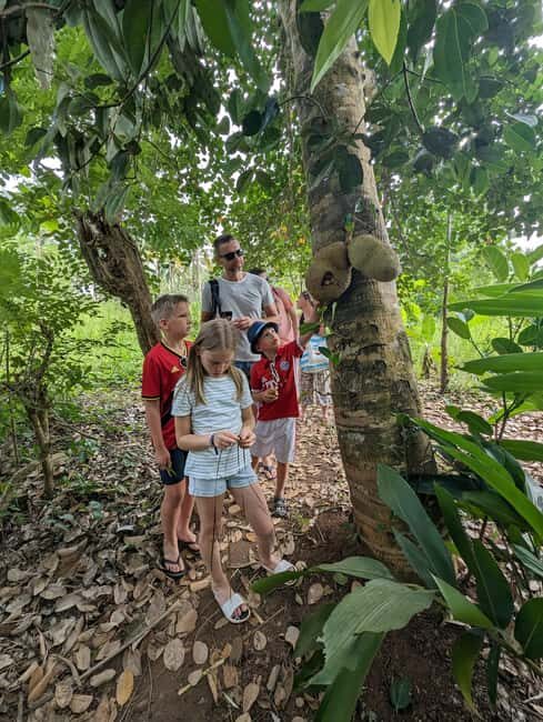 Zanzibar: Jozani Forest & Spice Farm Private Tour with Lunch - Key Points