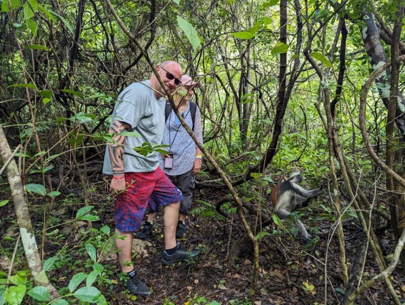 Zanzibar: Jozani Forest & Spice Farm Private Tour with Lunch - Considerations and Tips