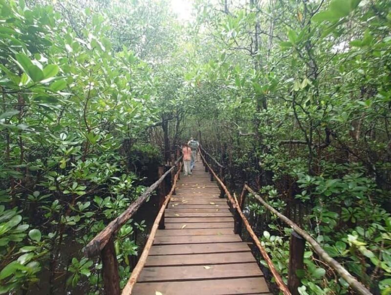 Zanzibar: Jozani forest, Spice farm & Stone town City tour - Who Will Love This Tour?