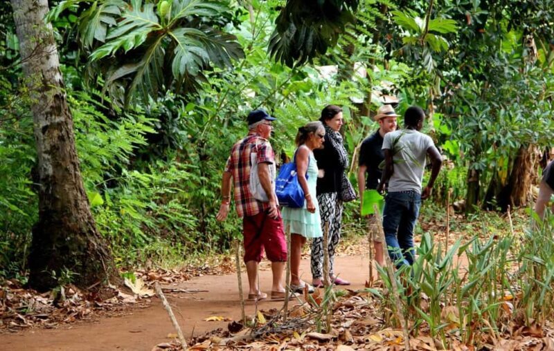 Zanzibar: Jozani Forest & Spice Farm Tour with Tea, Transfer - Key Points
