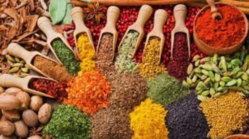 Zanzibar: Jozani Forest, Spice Farms & Stone Town Day Tour - A Closer Look at the Tour Experience