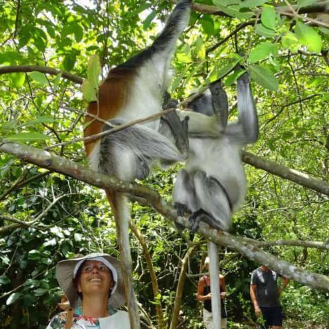 Zanzibar: Jozani Forest, Spice Farms, & Stone Town tour - A Detailed Look at the Tour Experience