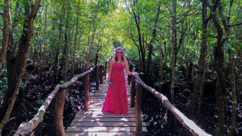 Zanzibar: Jozani Forest, Spice Farms, & Stone Town tours - Aromatic Spice Farms: Sensory Delights