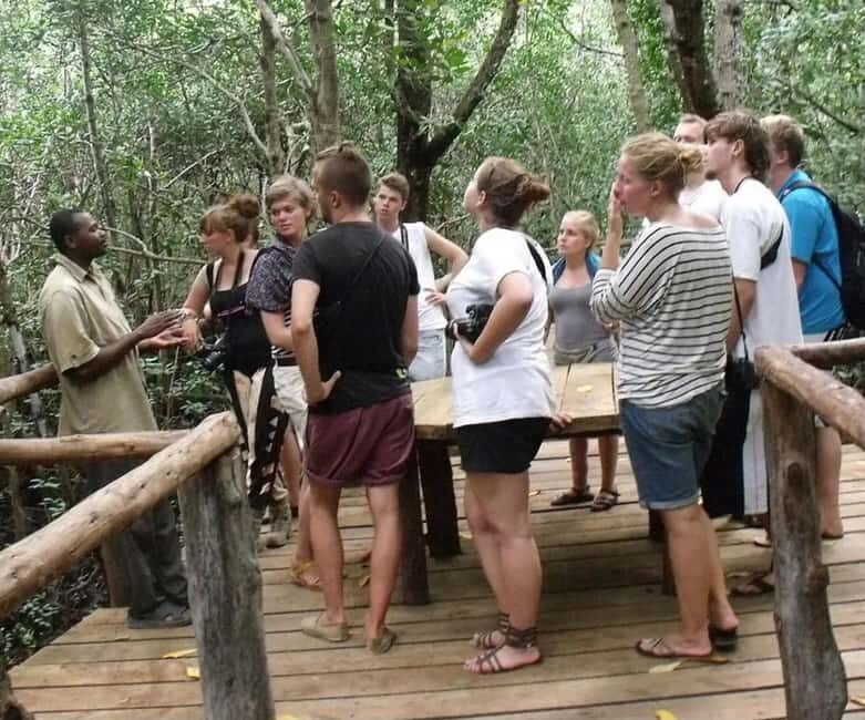 Zanzibar: Jozani Forest, Spice Farms, & Stone Town tours - Stone Town: History and Culture
