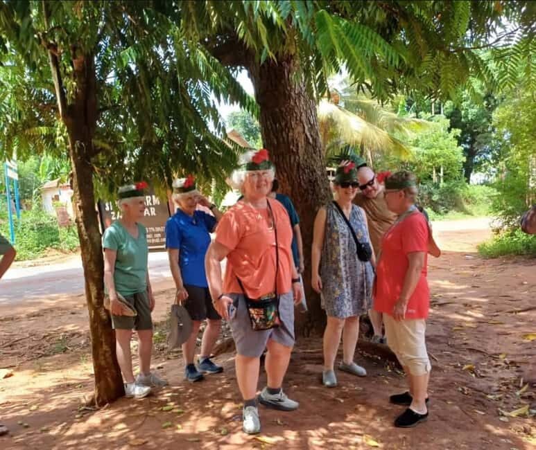Zanzibar: Jozani Forest, Spice Farms, & Stone Town tours - Final Thoughts: Is This Tour for You?