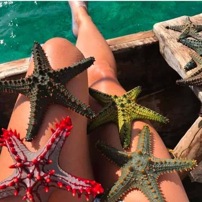 Zanzibar: Jozani Forest, Starfish Beach, & Rock Restaurant - Key Points